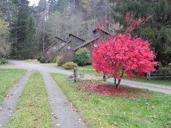 Forest Echoes Cabins Cultus Lake Екстер'єр фото